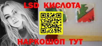 прущие грибы Балахна