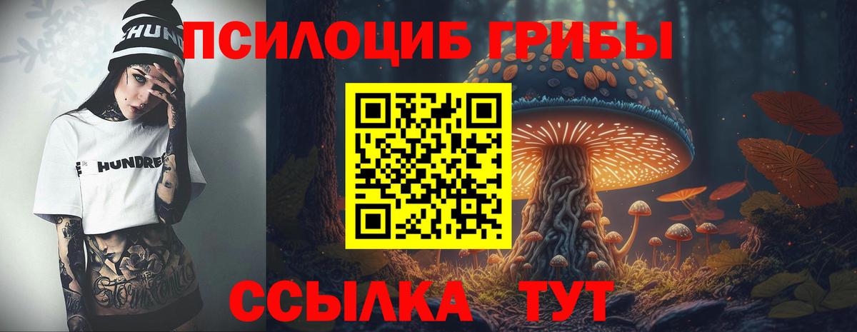 Ачинск  Псилоцибиновые грибы Psilocybine cubensis  Псилоцибиновые грибы мицелий  даркнет сайт  Вход с VPN 